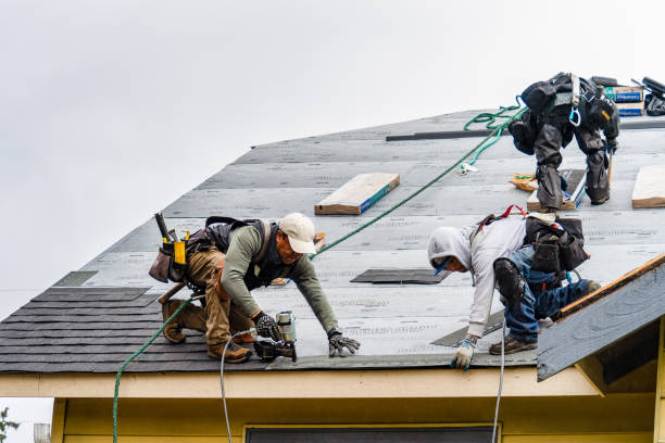 Professional Flat Roof Repair technician working in Salisbury, MO